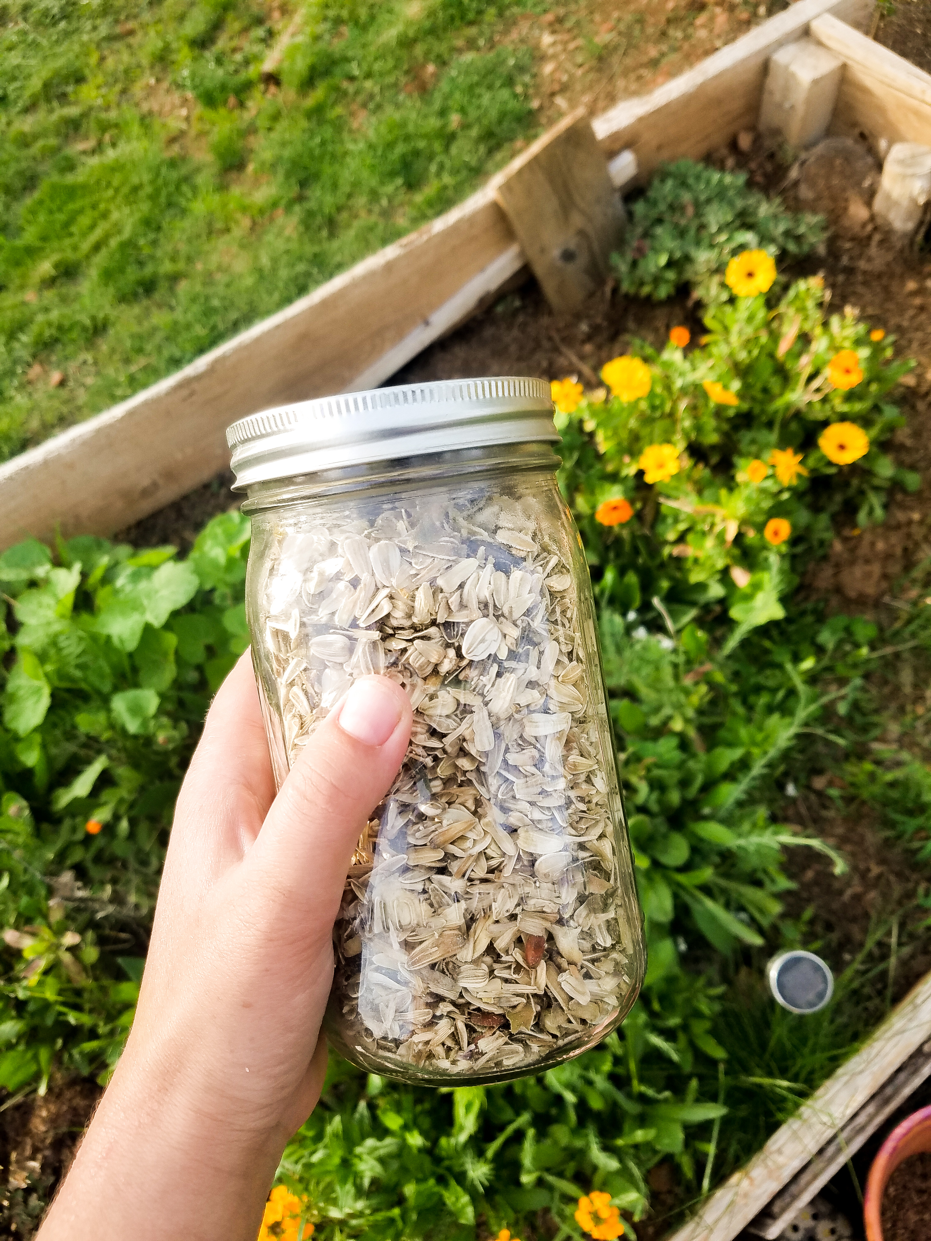 Spring Is Never Late & My Second Ending