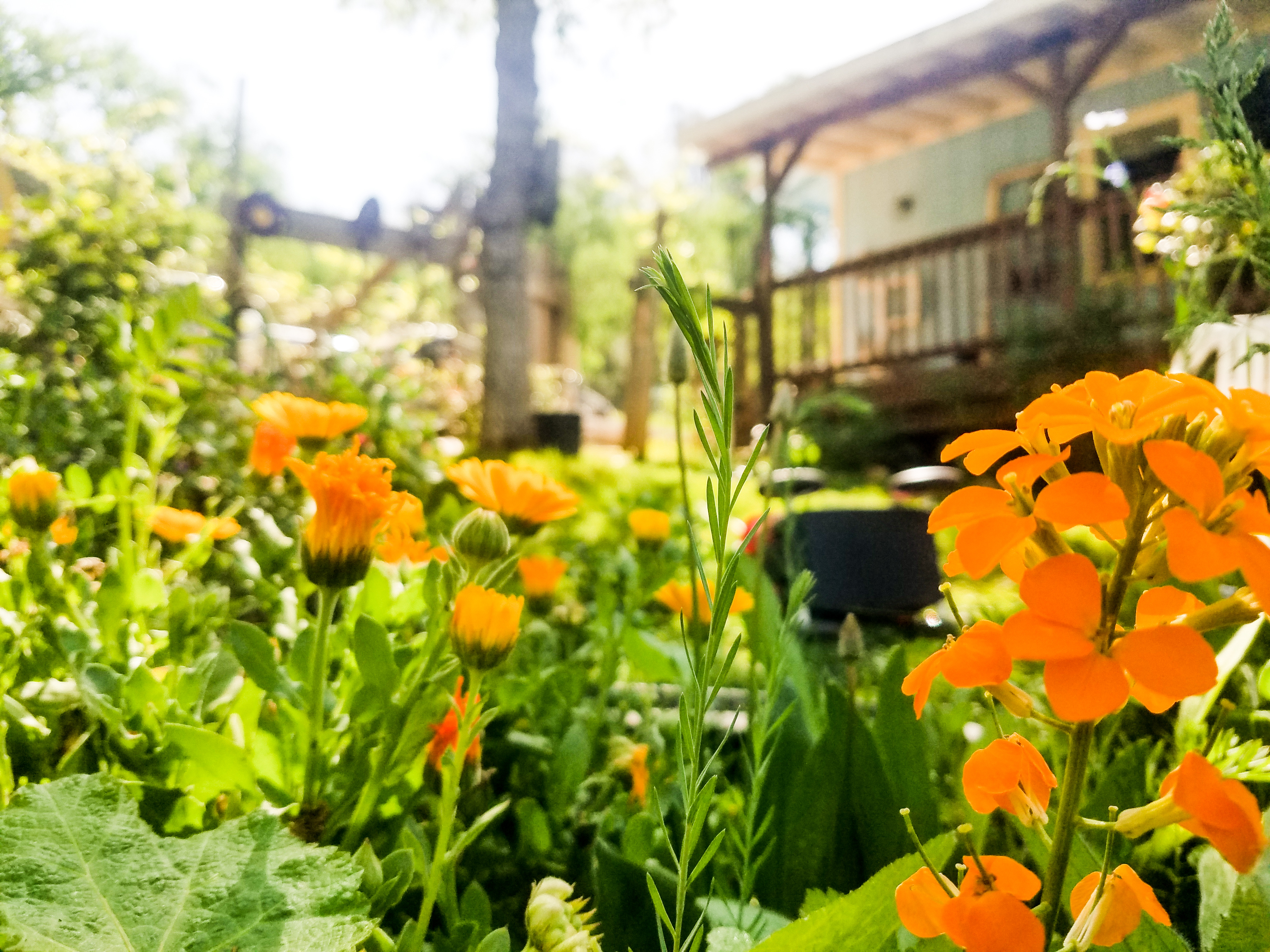 Spring Is Never Late & My Second Ending