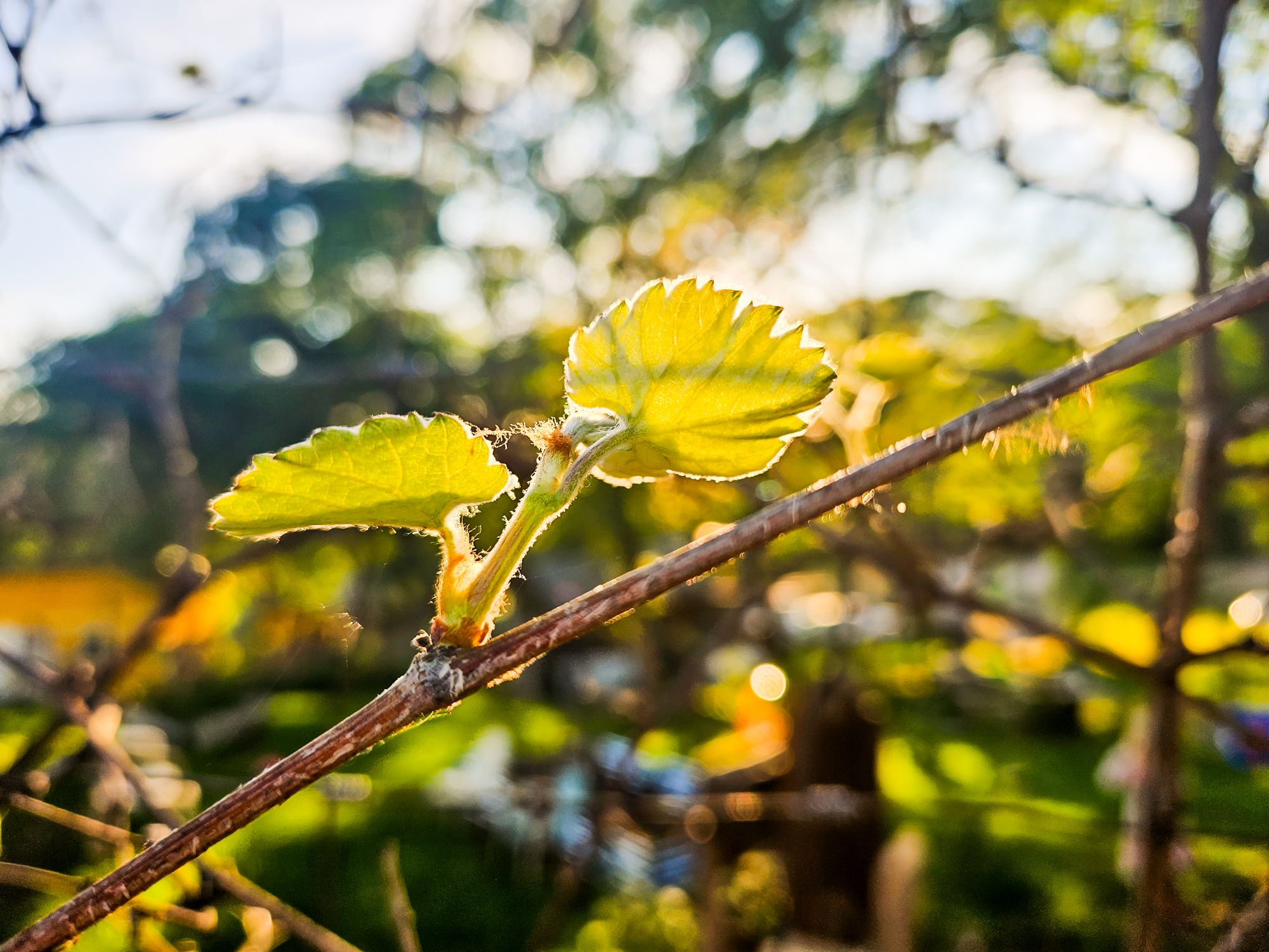 A Poem for the Faithless (I understand.)